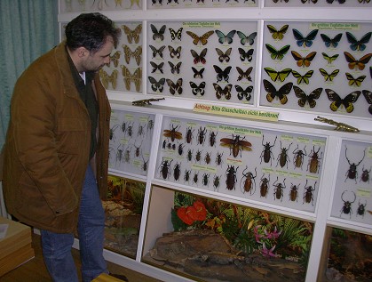 Insektenmuseum