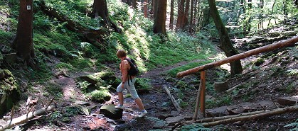 Wanderer auf dem Steinbachpfad